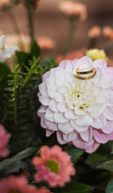 Svatební kytice a prstýnky